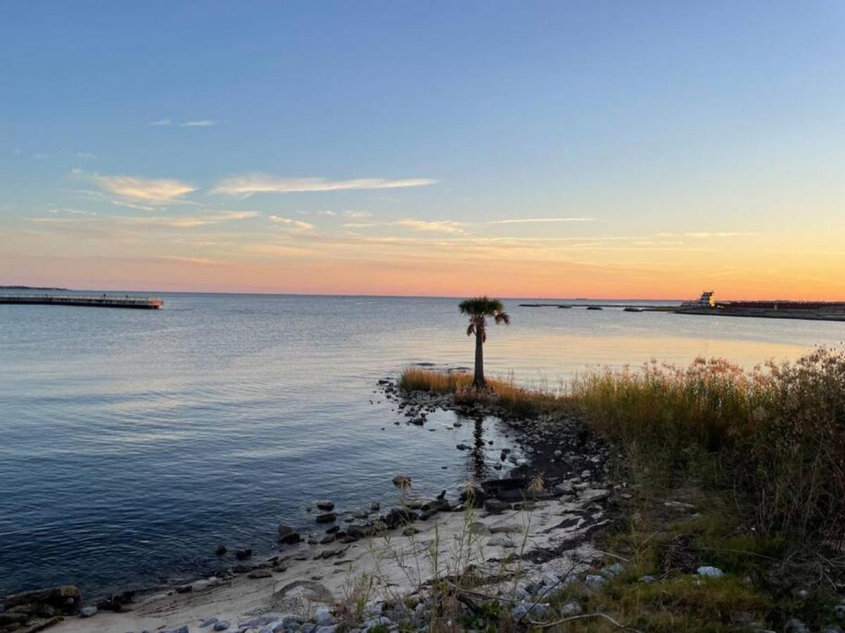 Walk To Downtown Seafood Market Bay Views بينساكولا المظهر الخارجي الصورة